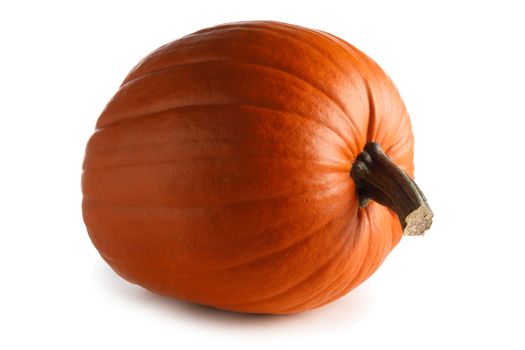 One perfect pumpkin isolated on white background