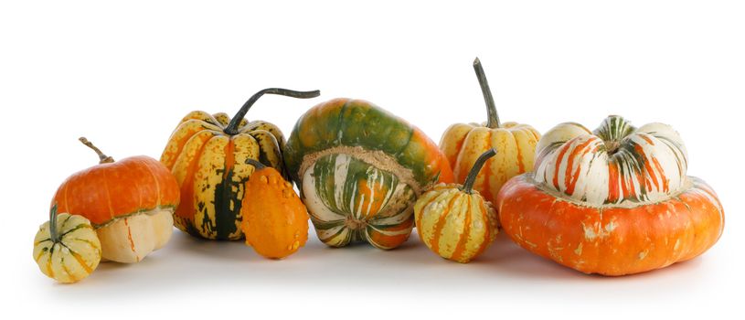 Assortiment of autumn harvested pumpkins in a heap isolated on white background , Halloween holiday concept