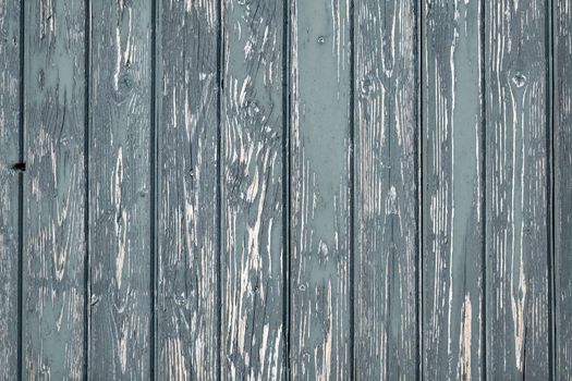 Background photo of weathered gray old green wooden laths full screen display
