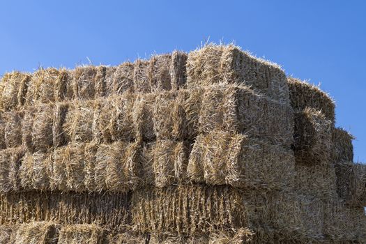 High stack of straw bales against a blue summer sky
