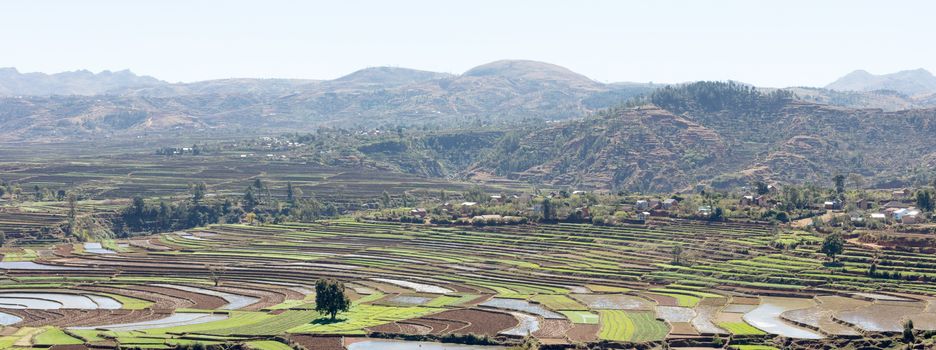 Agricultural fields in the middle of Madagascar