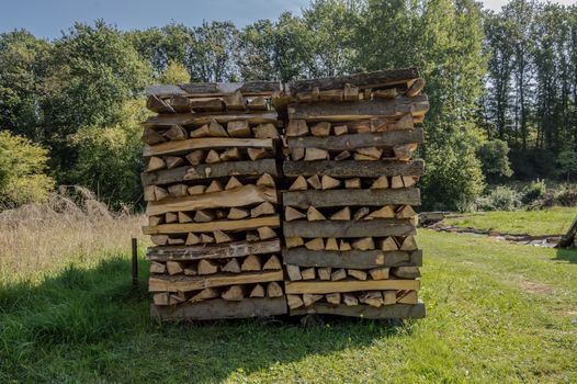 Stacked wood logs for drying in a Belgian meadow, pile of logs.