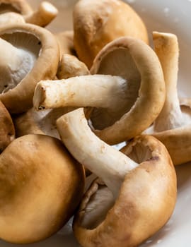 Bunch of mushrooms in a plate