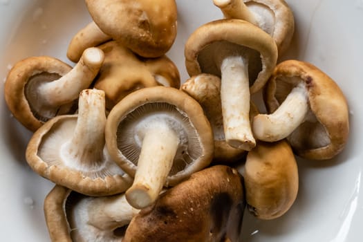 Bunch of mushrooms in a plate