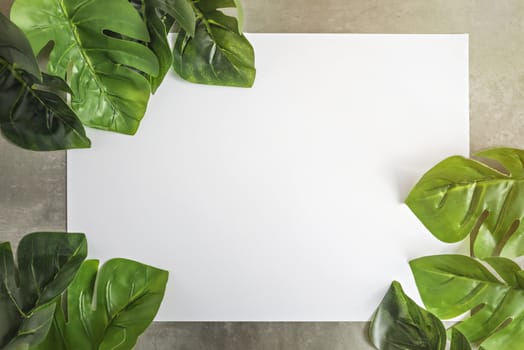 Top view and flat lay with white papaer and green leaves