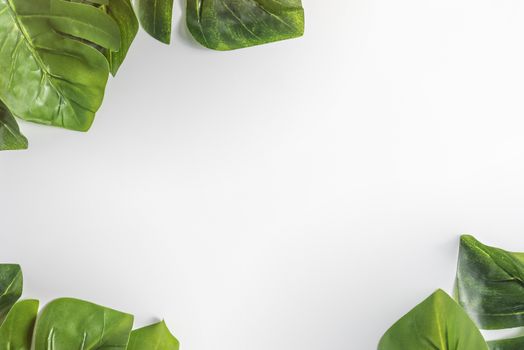 Top view and flat lay with white papaer and green leaves