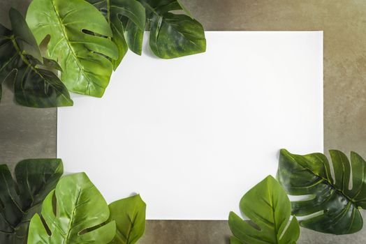 Top view and flat lay with white papaer and green leaves