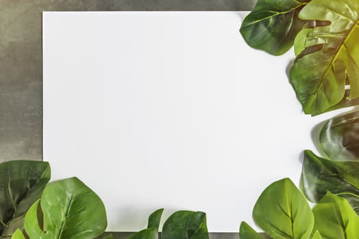 Top view and flat lay with white papaer and green leaves