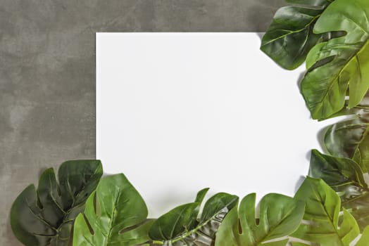 Top view and flat lay with white papaer and green leaves