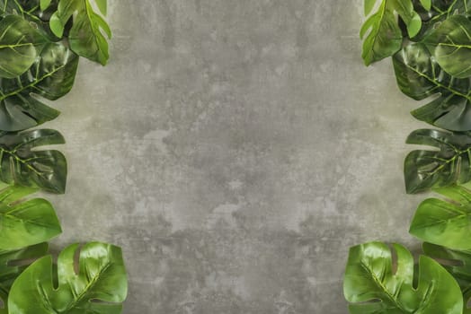 Top view and flat lay of green leaves over cement background