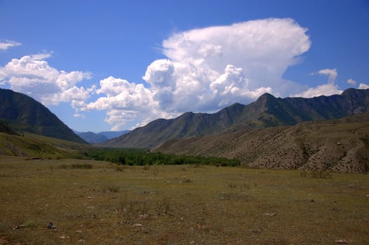 Fertile valley and pasture in the intermountain basin. Altai, Siberia, Russia.