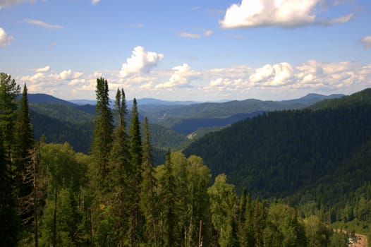 View of a picturesque mountain valley under clouds through tree trunks. Altai, Siberia, Russia.