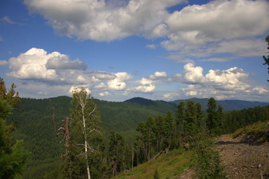 View of a picturesque mountain valley under clouds through tree trunks. Altai, Siberia, Russia.