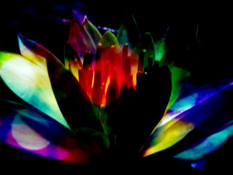 A metaphorical image of a spiritual lotus radiating colorful energies.