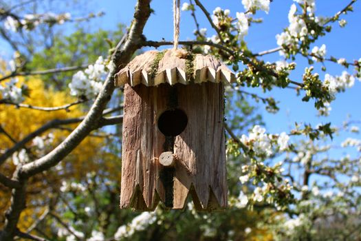 The picture shows a bird house in the cherry tree.