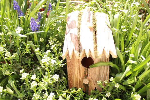 The picture shows a birdhouse in springflowers.