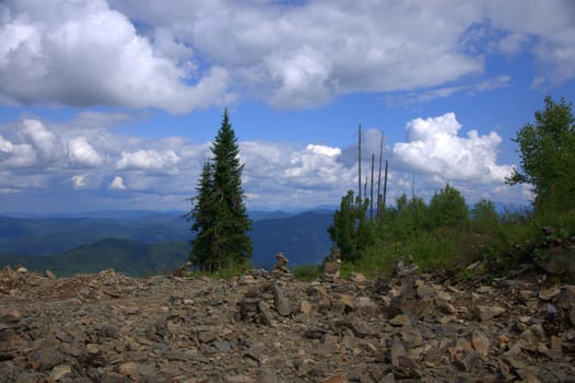 A glance at the level of mountain peaks through tall pine trees under cumulus clouds. Altai, Siberia, Russia.