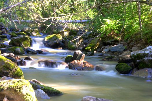 Mountain river flowing through the forest, breaking through stones and dumped tree trunks. Altai, Siberia, Russia.