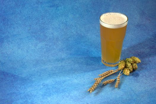 Glass of wheat beer with foam, hops and ears of wheat on a blue abstract background. Close-up.