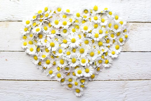 The pictureshows a heart of daisy flowers on white wooden boards.