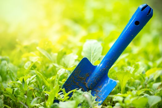 Yard garden tools and vegetable garden. Trowel stuck in the ground and morning sunlight at organic farm. Concept of agriculture. Closeup and copy space for text.