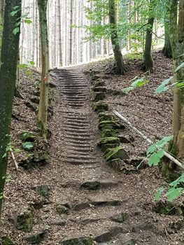 Old stone stairs in the green forest