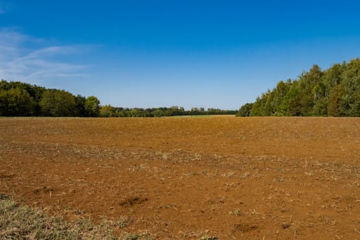 Cornfield plow for the next growing season in Gaume in Belgian Luxembourg