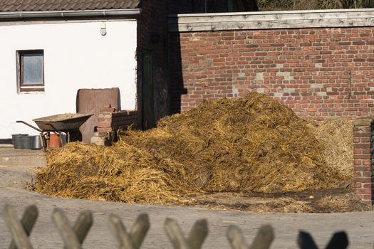 Pile of stinking dung. Manure heap on a farmhouse in Germany
