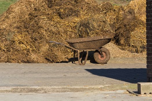 Pile of stinking dung. Manure heap on a farmhouse in Germany
