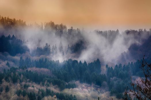 Autumn forest in the fog, panoramic view. Misty forest, far horizon. Scenic dawn and fog in the woodland valley, panorama landscape