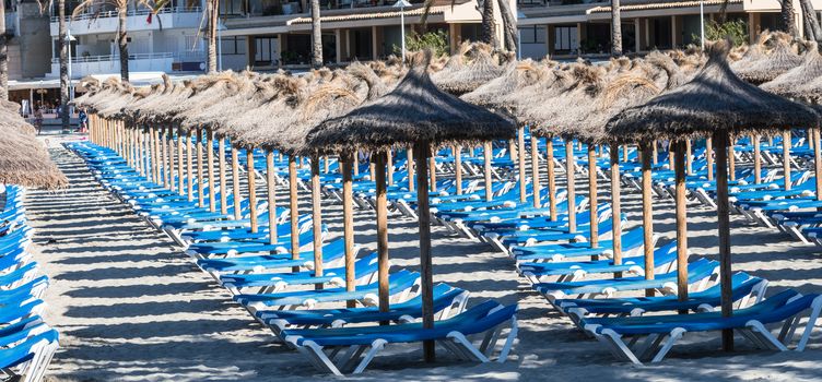 Sun loungers and parasols at the tropical resort. Line of lounge chairs. Blue sea and sky in the background. Summer holidays concept.