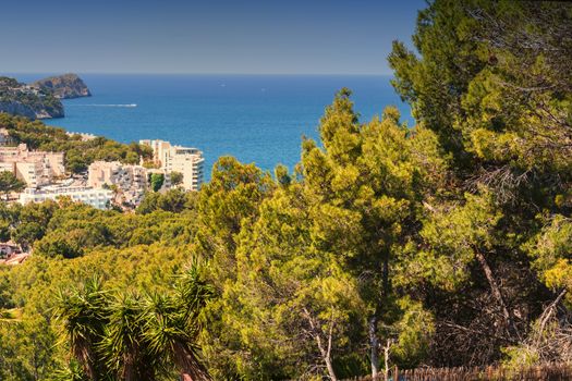 Panorama of the bay Paguera photographed from the mountain in Costa de la Calma.