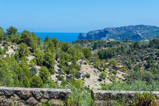 Wild West Coastline of Mallorca, Spain in the background the Mediterranean Sea.