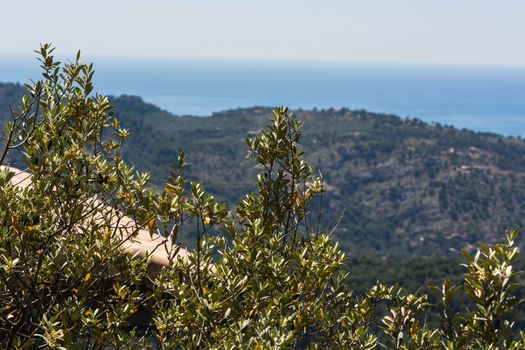 Spain Mallorca, panorama of Port de Andratx, Balearic Islands