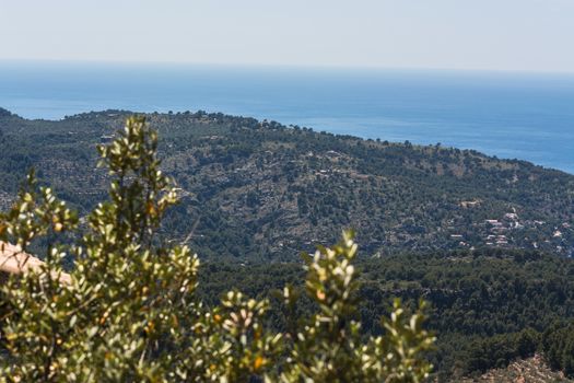 Spain Mallorca, panorama of Port de Andratx, Balearic Islands