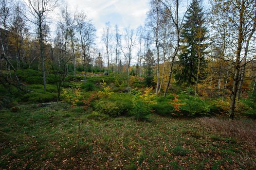 Autumn landscape - rocks, forests - all beautifully colored