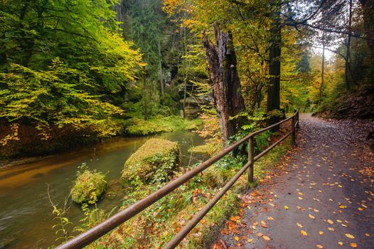 A beautifully clean river flowing through a colorful autumn forest