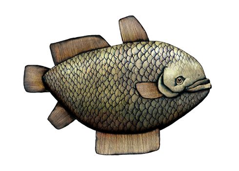 Fish, artistic colored illustration