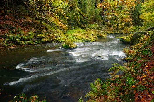 A beautifully clean river flowing through a colorful autumn forest