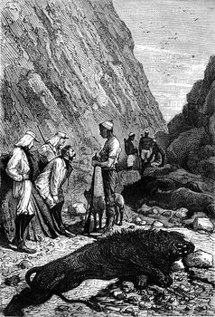 Soldier explorers and Makololo tribe native hunters with a dead lion in South Africa. From Jules Verne 3 Russians and 3 English Book, vintage engraving, 1871.
