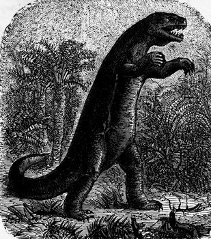 Dinosaur, vintage engraved illustration. Earth before man – 1886.
