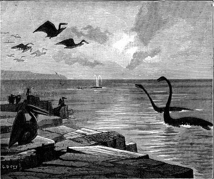 Instead of Paris, it was the sea. Pterodactyls with broad wings jumping in the sky, vintage engraved illustration. Earth before man – 1886.
