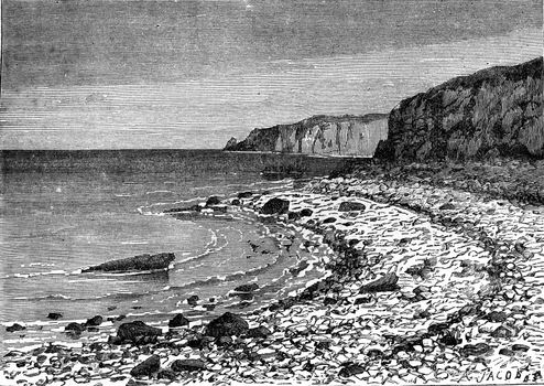 Pebble beach cords rejected by the sea Cayeux (Somme), vintage engraved illustration. Earth before man – 1886.
