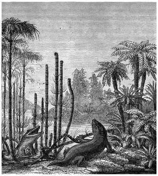 The labyrinthodonts, mastodonsaurus, vintage engraved illustration. Earth before man – 1886.