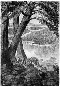 Landscape of the Triassic era, vintage engraved illustration. Earth before man – 1886.