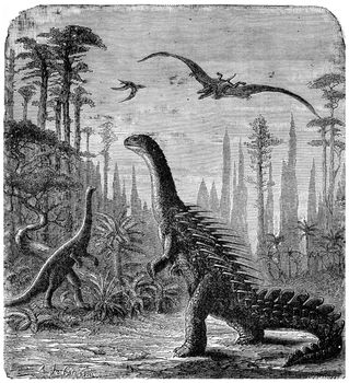 Dinosaurs, Stegosaurus and Compsognathus in an Araucaria landscape., vintage engraved illustration. Earth before man – 1886.