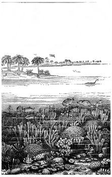 The age of the Jurassic sea at Burgundy, France, vintage engraved illustration. Earth before man – 1886.