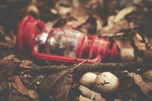 red lamp in brown autumn leaves, with textures