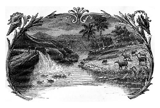 The Eocene period, vintage engraved illustration. Earth before man – 1886.

