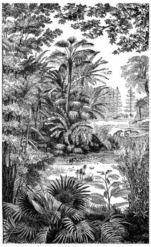 Landscape of the Miocene period in Lausanne, vintage engraved illustration. Earth before man – 1886.